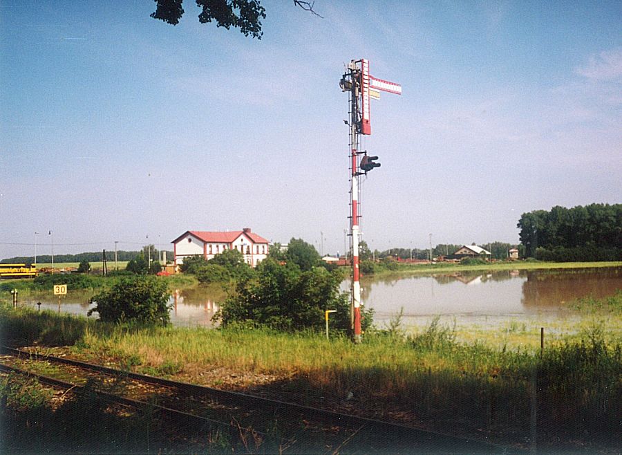 Opono, povode 1998, ndra, bv. rybnk Bezdk, 2008