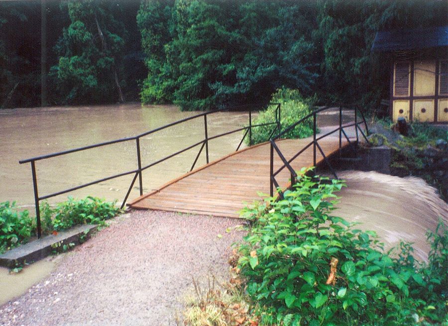 Opono, povode 1998, park, hrz rybnka, 2008