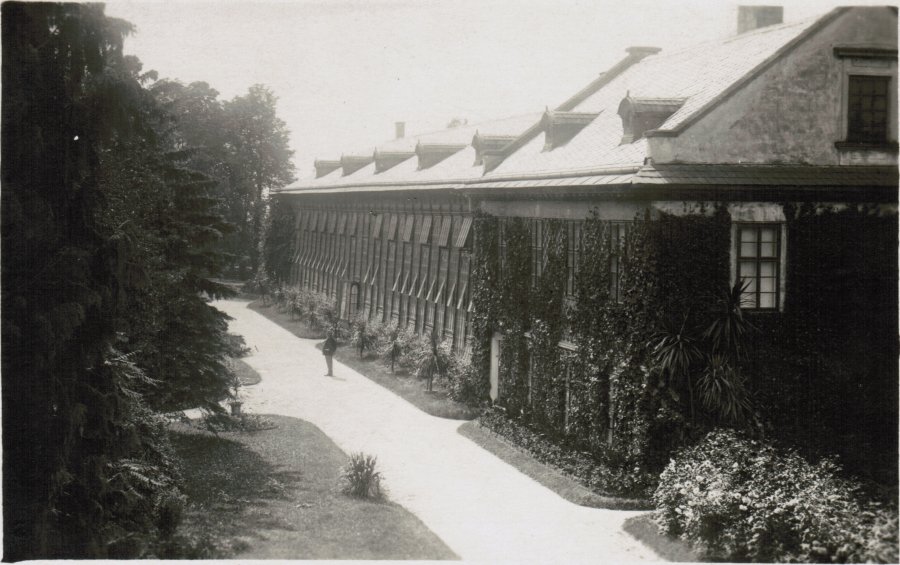 Greenhouse 1929 - 2004